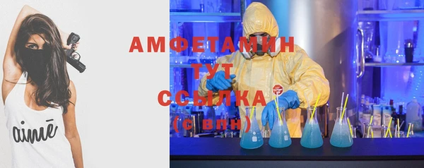 дмт Верея
