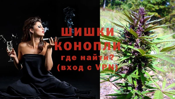 дмт Верея