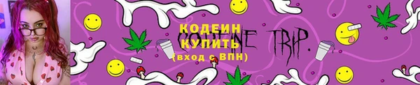 дмт Верея